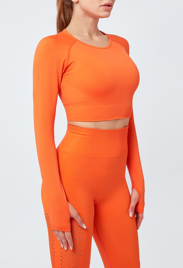 crop top with thumb holes
